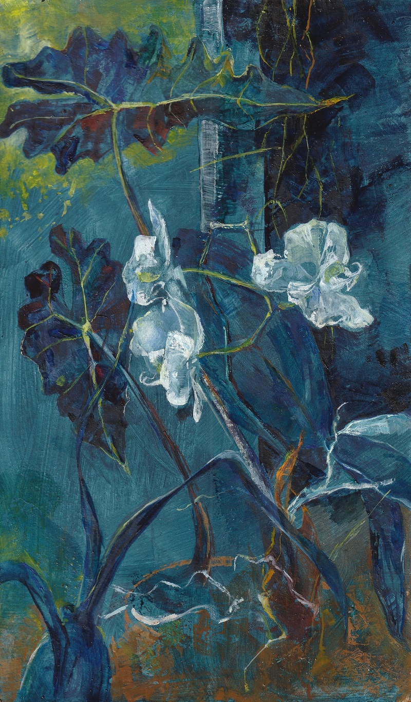 Witte orchideeën en skeletplant in blauw